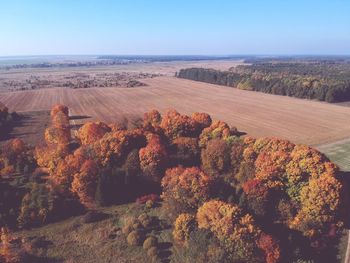 High angle view of trees against clear sky