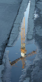 Reflection of trees in puddle