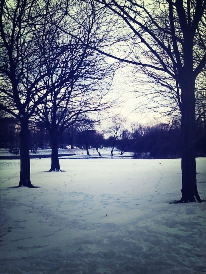 winter, snow, cold temperature, bare tree, tree, season, tranquility, tranquil scene, weather, beauty in nature, nature, frozen, scenics, silhouette, branch, covering, tree trunk, sunset, water, sky