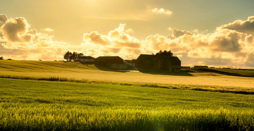 Scenic view of field against sky during sunset