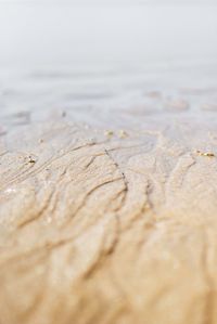 Close-up of water drops on leaf