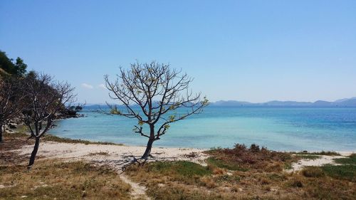 Scenic view of sea against clear blue sky