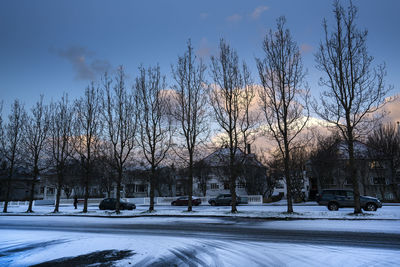 Bare trees against sky during winter