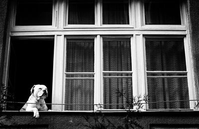 Woman standing by window of building