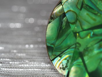 Close-up of green leaf on table