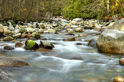 River flowing through rocks in forest