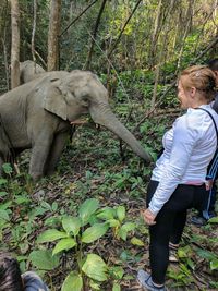 Low angle view of girl on elephant in forest