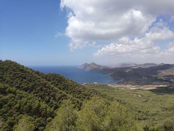 Forest mountain against sea