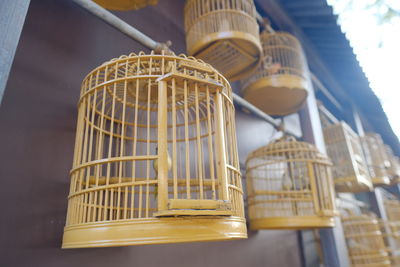 Low angle view of wine in cage