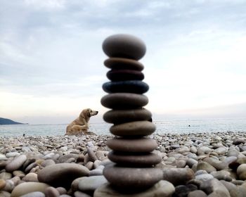 Close-up of stack of pebbles on beach against sky