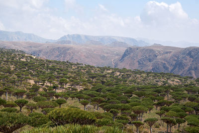 Scenic view of mountains against sky