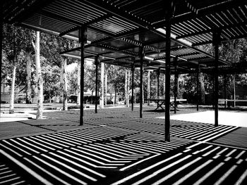 Shadow of trees on metal grate in city