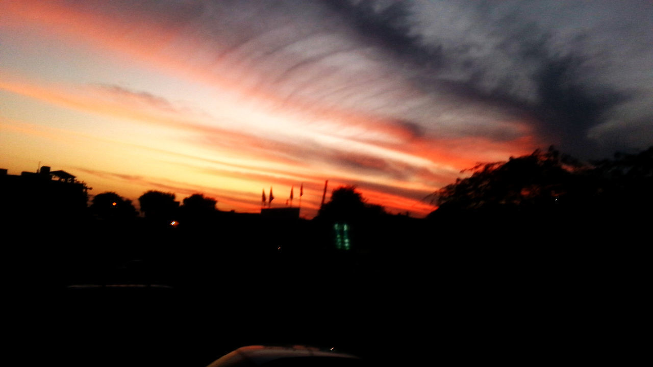 SCENIC VIEW OF SILHOUETTE TREES AGAINST SKY DURING SUNSET