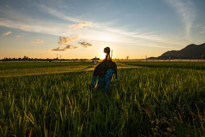 Rear view of man on field against sky during sunset