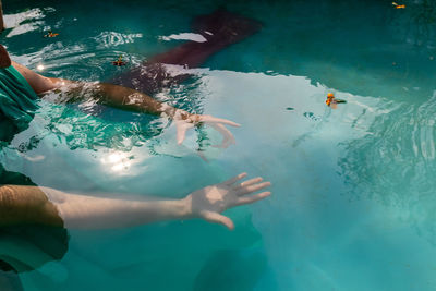 High angle view of fish swimming in sea