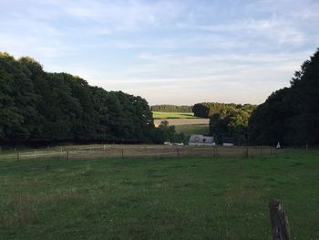 Trees on field against sky