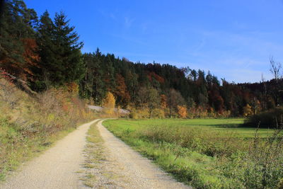 Road amidst trees against sky during autumn