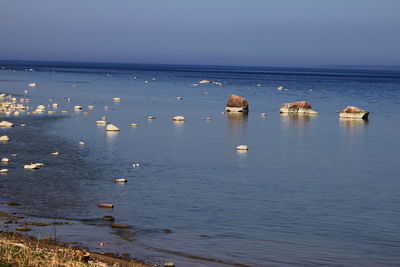 Scenic view of sea against clear sky