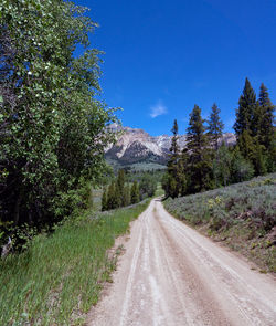 Road amidst trees and plants against sky