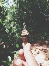 Close-up of hand holding ice cream