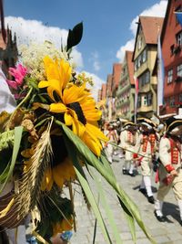 Close-up of yellow flowering plants in city