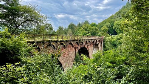 Arch bridge amidst trees in forest against sky