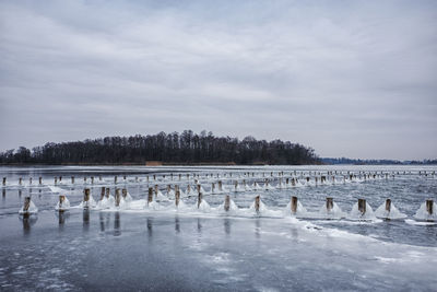 Birds by lake against sky