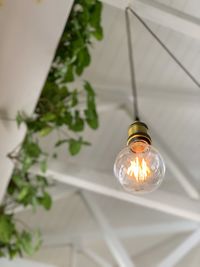 Low angle view of illuminated light bulb hanging on ceiling