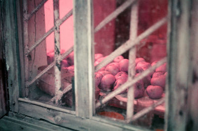 Close-up of fruits on window