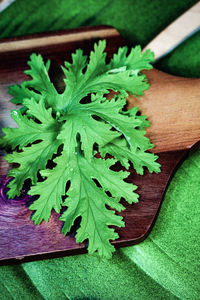 High angle view of leaf on table