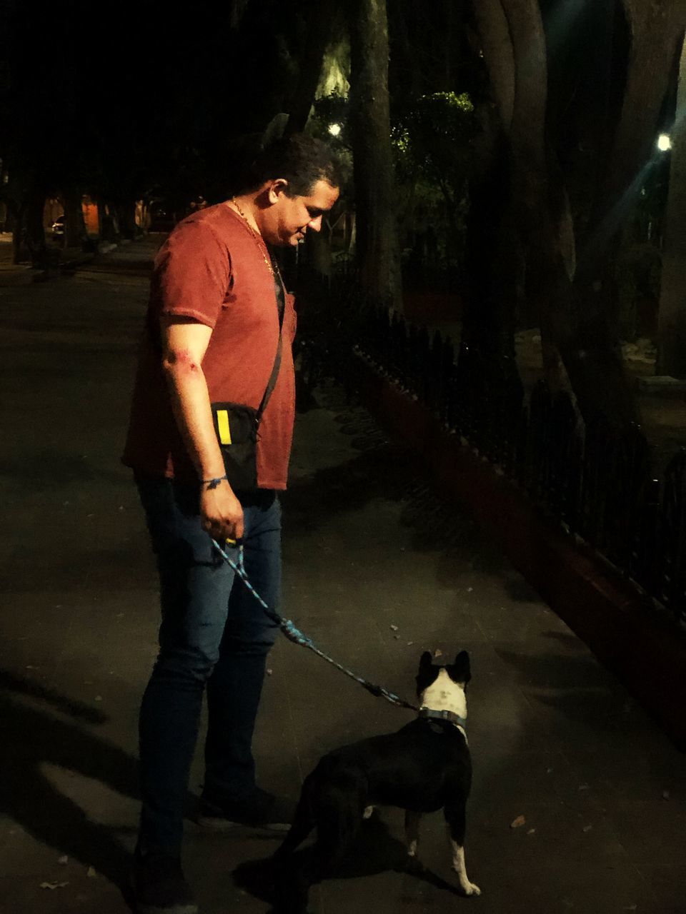 domestic, pets, mammal, domestic animals, one animal, canine, dog, vertebrate, real people, leash, one person, pet leash, pet owner, casual clothing, full length, night, side view