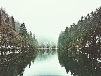 Reflection of trees in lake against clear sky