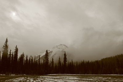 Scenic view of snow covered trees against cloudy sky