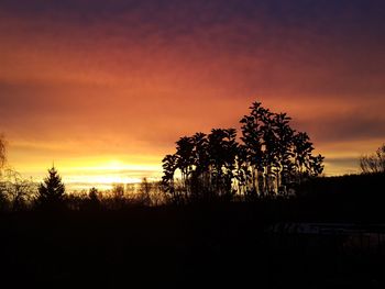 Silhouette trees against sky during sunset