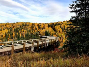 Bridge over forest against sky