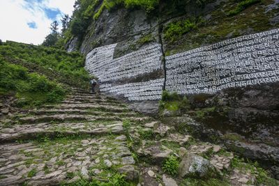 Rear view of people walking on footpath