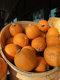 A lot of autumn carving pumpkins for sale at pumpkin patch for halloween