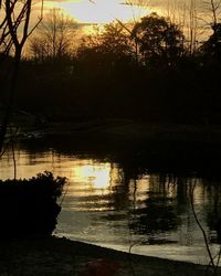 Silhouette trees by lake against sky during sunset