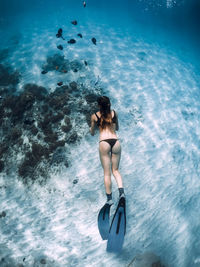 High angle view of woman swimming in sea