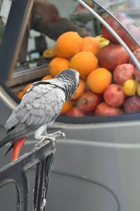 Close-up of orange fruits in container