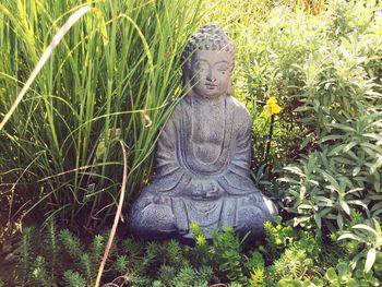 Sculpture of buddha statue on grass