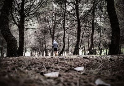Rear view of man walking in forest