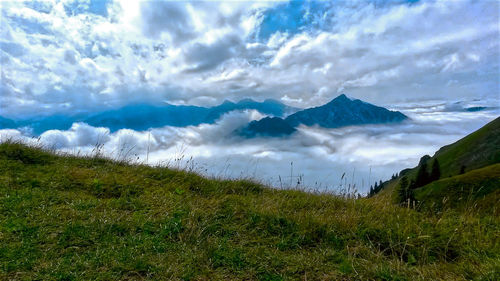 Scenic view of landscape against sky