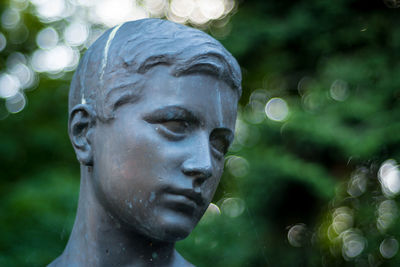 Close-up of statue in park