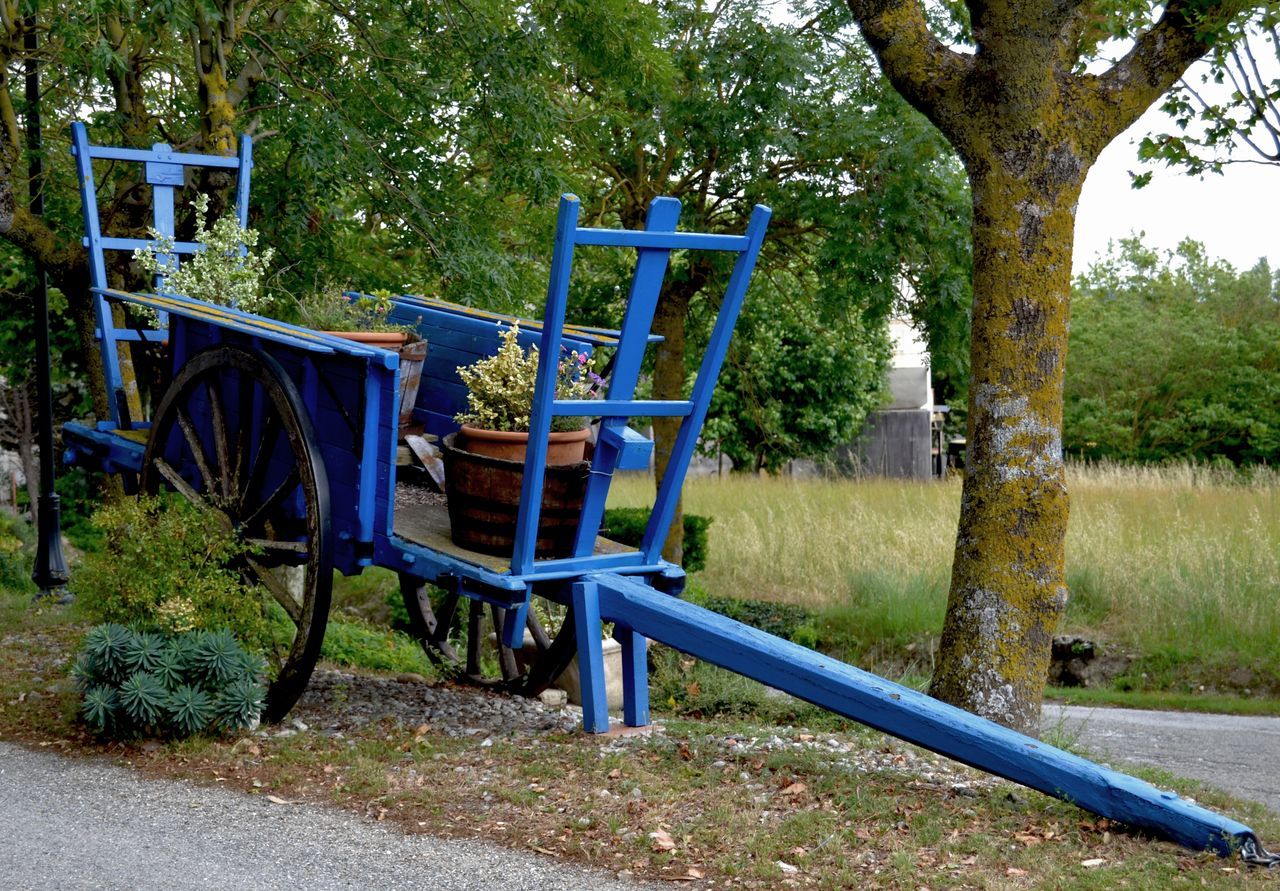 Blue wagon