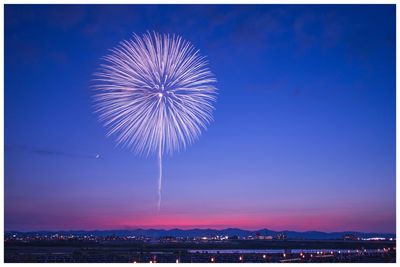 Firework display in sky at night