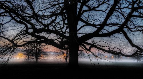 Silhouette bare trees on field against sky at sunset