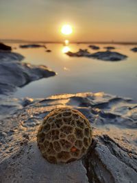 Close-up of rocks on beach against sky during sunset