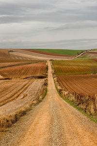 Panorama from a path along the camino de santiago.