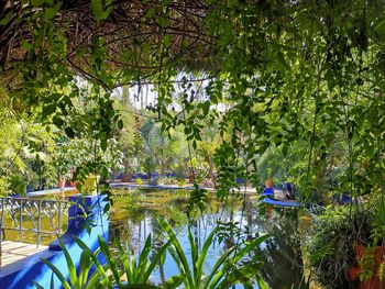 Scenic view of lake by trees